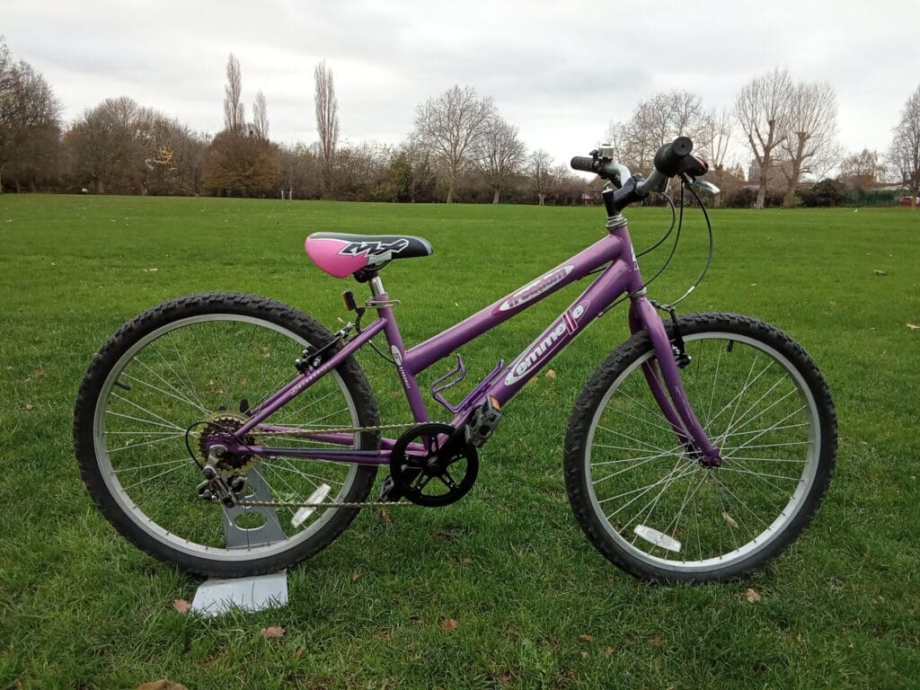 emmelle freedom, 24 wheel, 14 frame, 1 x 5 gears, purple