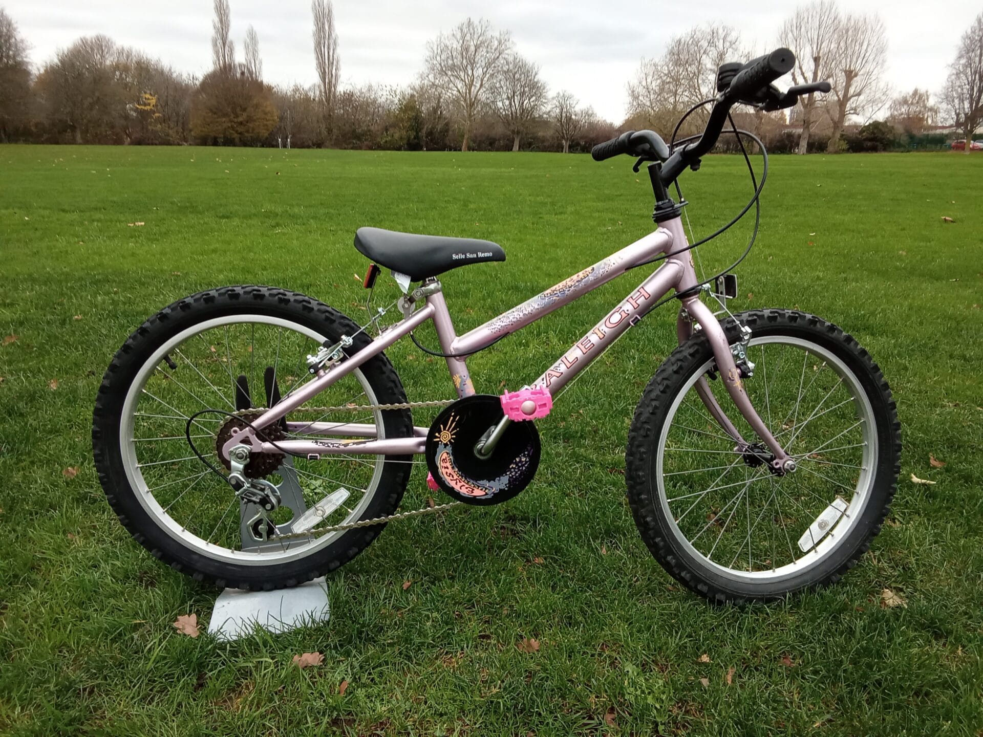 raleigh elysia blackcurrant crush, 20 wheel, lilac