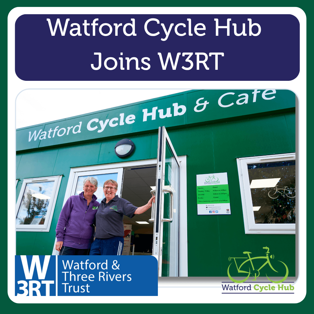 wch joins w3rt